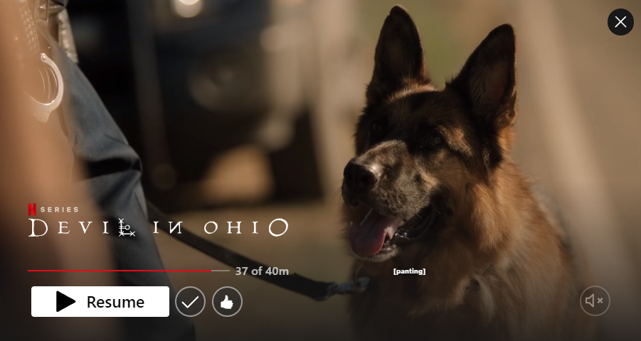 Devil In Ohio TV Series | Recap & Summary