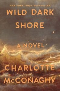 Wild Dark Shore Book Summary