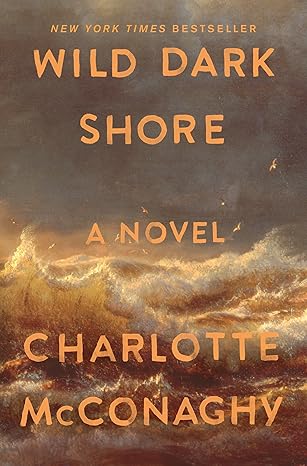 Wild Dark Shore Book Summary