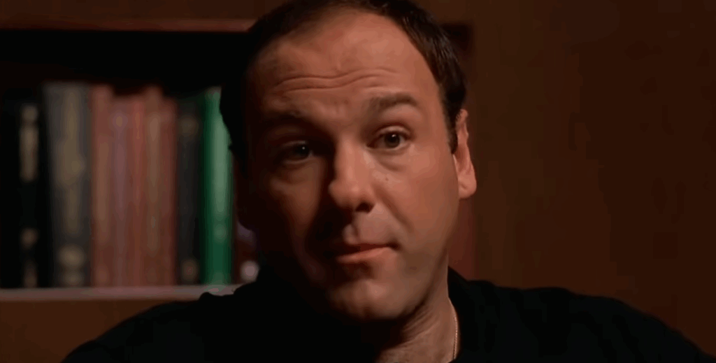 image-6-1024x519 The Sopranos Season 1 Explained | The Duality of Tony Soprano