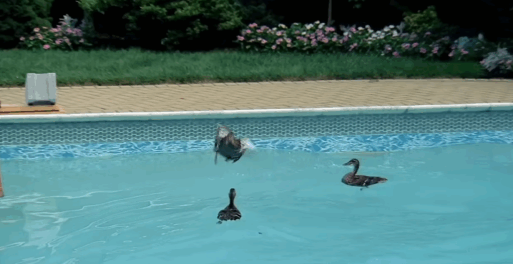 image-8-1024x527 The Sopranos Season 1 Explained | Dr. Melfi’s Sessions as a Mirror of Tony’s Soul